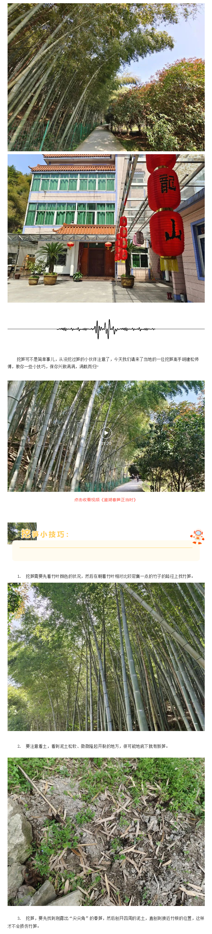 【“醉”美鉴湖-香“鉴”恨晚】不负春光，鉴湖四月春笋正当时_05.jpg