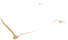 微信图片_20220729105604.png