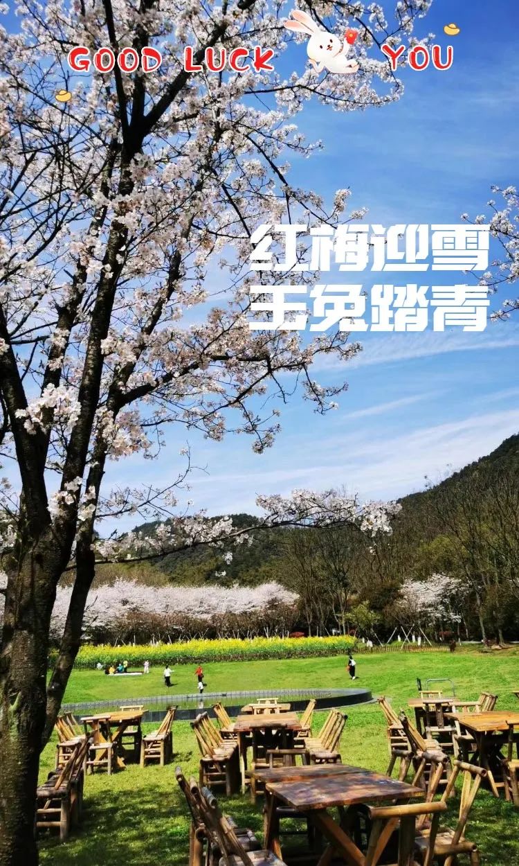 微信图片_20230404140945.jpg