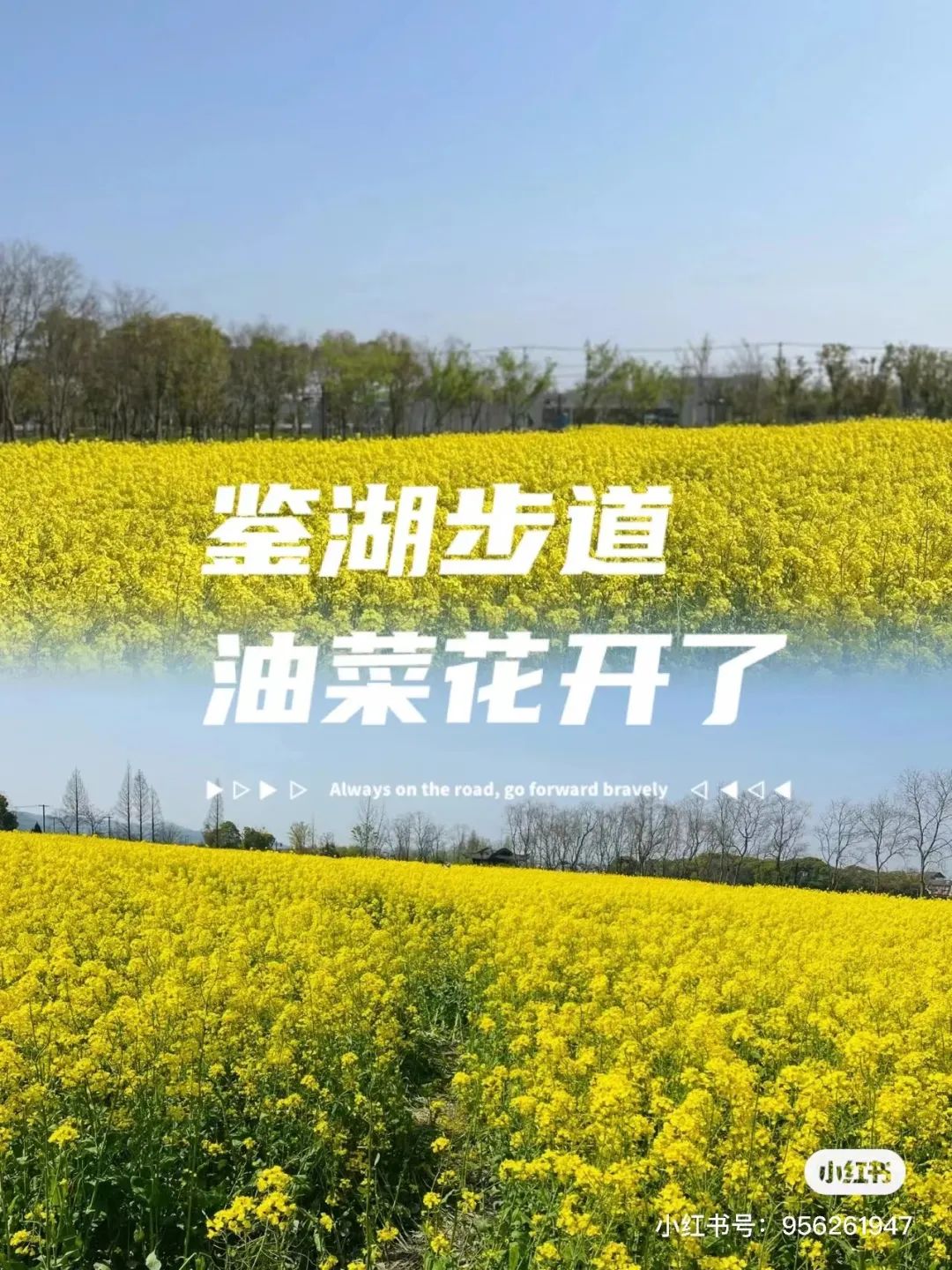 微信图片_20230404152849.jpg
